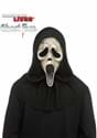 Adult Deluxe Costume Ghost Face Aged Mask