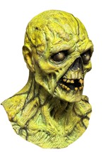 Adult Glowing Ghoul Fallout Mask Alt 2