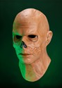 Adult The Ghoul Fallout Mask