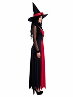 Womens Black and Red Witch Dress Costume Alt 3