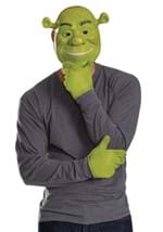 Adult Shrek Accessory Kit