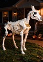 Skeleton Horse Decoration Main 1