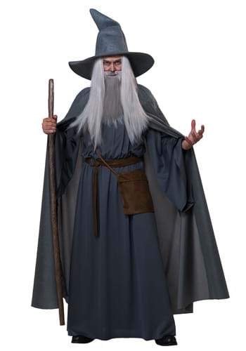 Plus Size Wandering Wizard Mens Costume