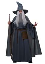 Plus Size Wandering Wizard Mens Costume