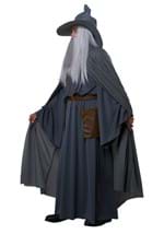Wandering Wizard Mens Costume Alt 3