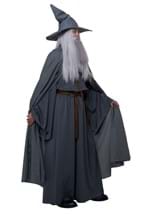 Wandering Wizard Mens Costume Alt 4