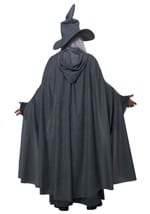 Wandering Wizard Mens Costume Alt 2