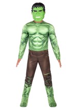 Kids Marvel Hulk Qualux Costume Alt 2