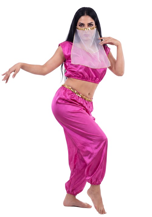 Womens Harem Girl Pink Costume