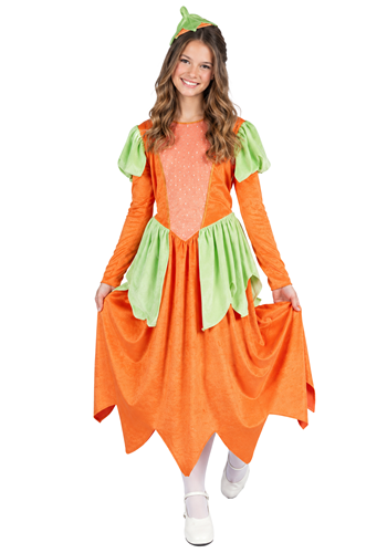 Girls Orange Pumpkin Patches Costume Dress