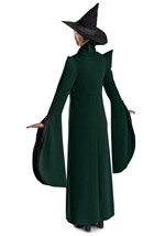Womens Professor McGonagall Prestige Costume Alt 5