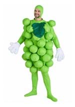 Green Grapes Costume Main 2
