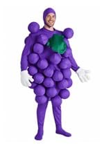 Purple Grapes Costume Main 2