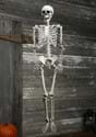 Plastic Realistic Skeleton Update 1-0