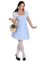 Blue Gingham Dress Costume Alt 1