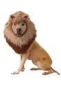 Pet Lion Costume