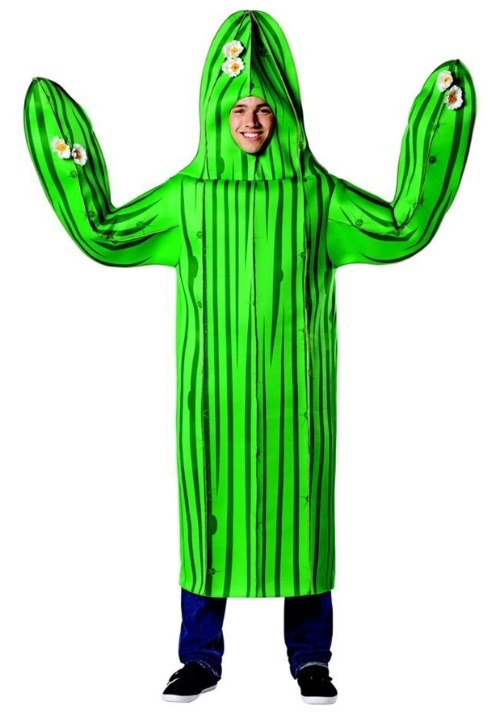 Adult Cactus Costume	