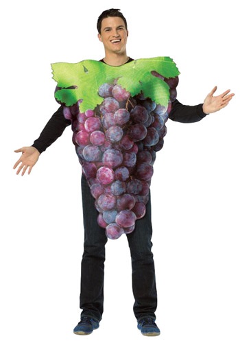 Purple Grapes Adult Costume
