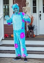 Plus Size Sulley Costume Alt 1