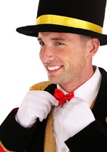 Adult Ringmaster Costume Alt 8