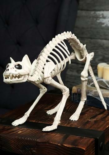 Skeleton Cat