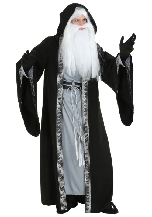 Plus Size Deluxe Wizard Costume