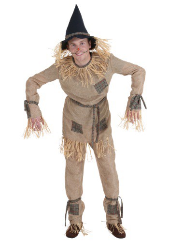 Plus Size Silly Scarecrow Costume