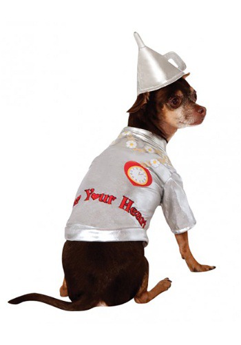Tin Man Dog Costume