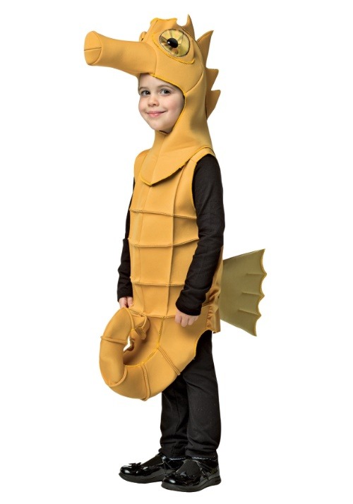 Child Seahorse Costume