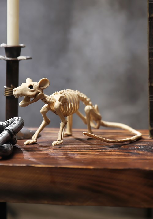 Mini Skeleton Rat Update