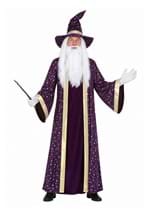 Purple Wizard Mens Costume New Main