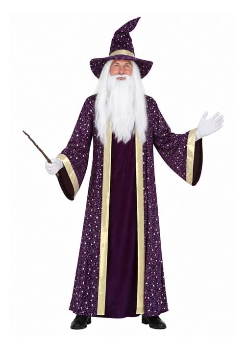 Purple Wizard Mens Costume New Main