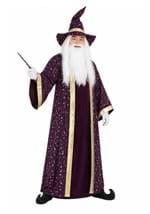 Plus Size Wizard Costume UPD Main 1