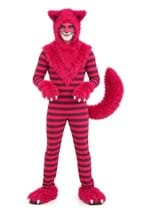 Deluxe Adult Cheshire Cat Costume upd