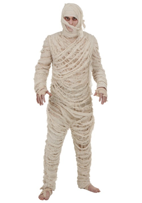 Plus Size Mens Mummy Costume