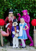Child Supreme Alice Costume Alt 4