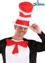 Cat in the Hat Adult Hat update