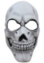Adult Simple Scary Skull Mask