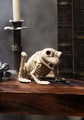 Skeleton Frog Halloween Decoration upd