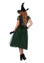 Darling Spellcaster Witch Costume1