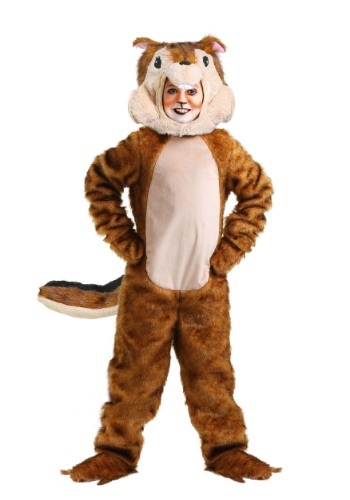 Chipmunk Child Costume