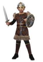 Fighting Viking Boys Costume