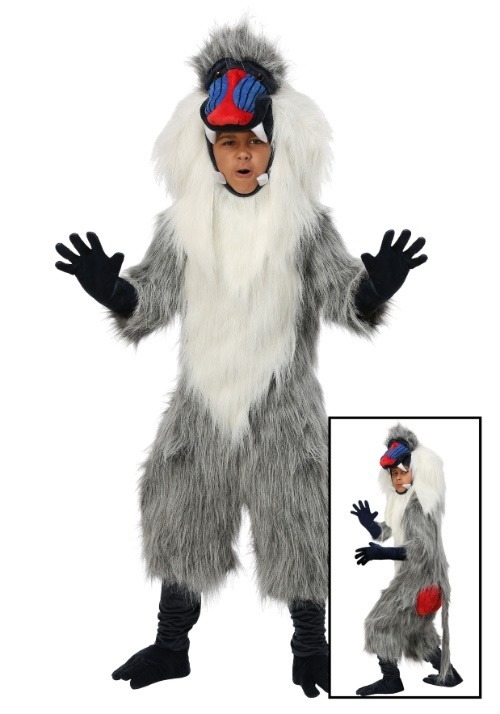 Kids Baboon Costume