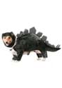 Stegosaurus Pet Costume