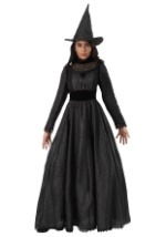 Plus Size Deluxe Dark Witch Costume Alt 1