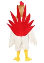 Kids Rooster Costume