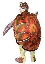 Sea Turtle Alt 1