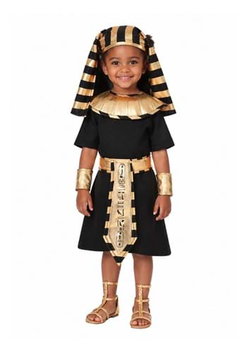 Egyptian Pharaoh Toddler Costume new