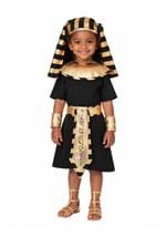 Egyptian Pharaoh Toddler Costume new