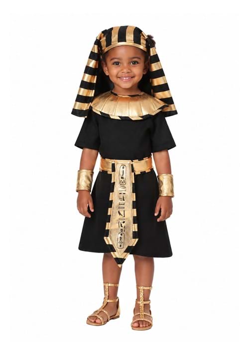 Egyptian Pharaoh Toddler Costume new